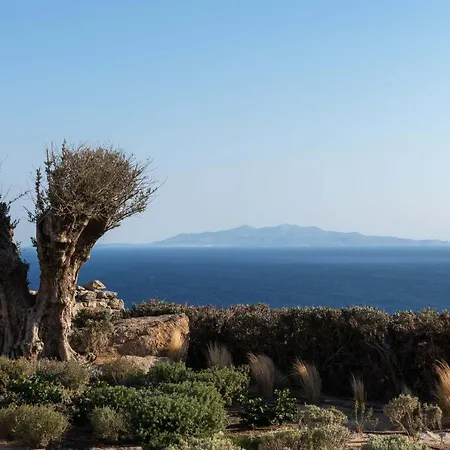 Ava Mykonos بسارو