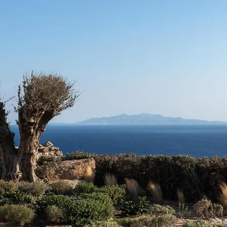 فيلة Ava Mykonos