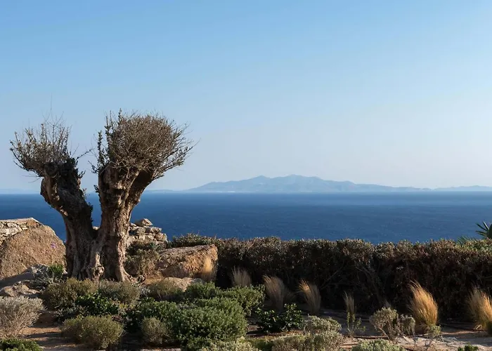 Ava Mykonos 普沙罗